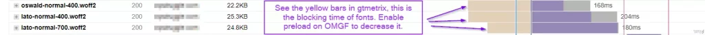 OMGF Tutorial How To Host & Optimize Google Fonts Locally - GTmetrix Before